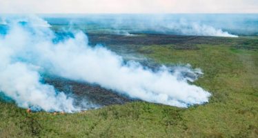 A 50 años de la primera conferencia ambiental de la ONU, expertos piden “pasar a la acción”