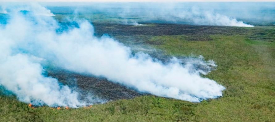 A 50 años de la primera conferencia ambiental de la ONU, expertos piden “pasar a la acción”