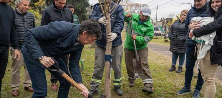 San Isidro: con la llegada de una nueva vida el Hospital Materno Infantil planta un nuevo árbol