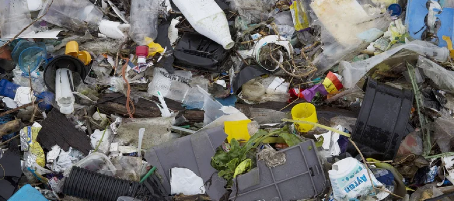 Día Mundial de los Océanos: por qué la contaminación marítima pone en peligro a la salud humana