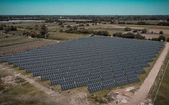 Escobar: el Parque Solar Municipal evitó la liberación de 794 toneladas de dióxido de carbono a la atmósfera