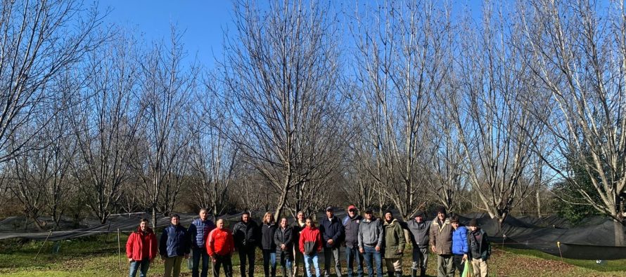 INTA llevó a cabo una capacitación sobre producción de pecán en el Delta sanfernandino