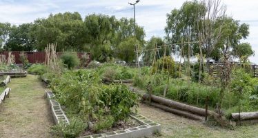 San Isidro: Ya son más de 40 las huertas comunitarias agroecológicas