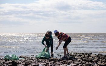 Día Mundial de la Limpieza: actividades en Vicente López y San Fernando