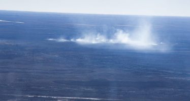 Los Faros de Conservación detectaron numerosos focos de incendios en el Delta