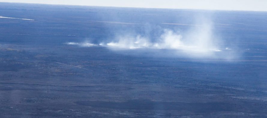 Los Faros de Conservación detectaron numerosos focos de incendios en el Delta