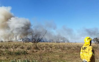 Incendios en el Delta del Paraná: hay focos activos en Zárate y Escobar