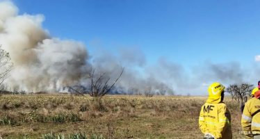 Incendios en el Delta del Paraná: hay focos activos en Zárate y Escobar