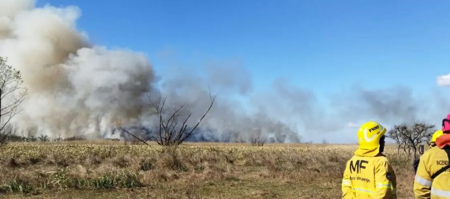 Incendios en el Delta del Paraná: hay focos activos en Zárate y Escobar