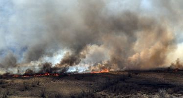 Fue extinto el fuego en el Parque Nacional Ciervo de los Pantanos