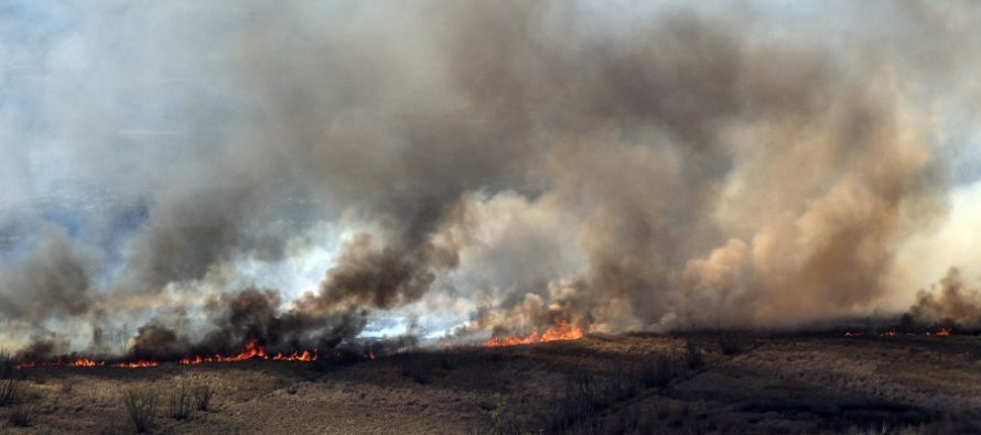 Fue extinto el fuego en el Parque Nacional Ciervo de los Pantanos