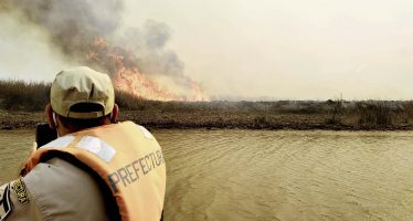 Detuvieron a tres personas acusadas de provocar incendios en el Delta