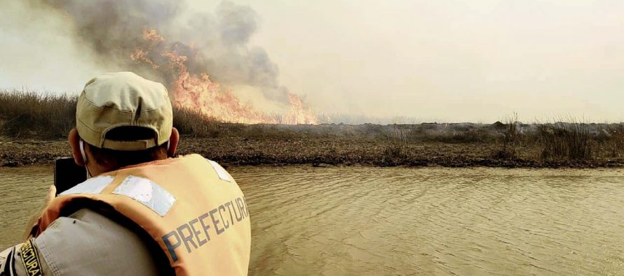 Detuvieron a tres personas acusadas de provocar incendios en el Delta