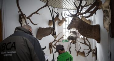 La Brigada de Control Ambiental decomisó productos de fauna silvestre en Vicente López