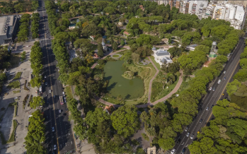 Resaltan la importancia de los árboles para reducir las olas de calor en las ciudades