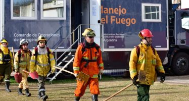 Incendios en el Delta: ya no hay más focos activos en la zona