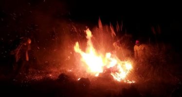 Se extinguió un incendio en el Parque Nacional Ciervo de los Pantanos