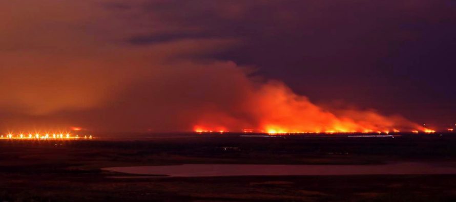 Detuvieron a un cuarto sospechoso por los incendios en el Paraná iniciando un nuevo foco