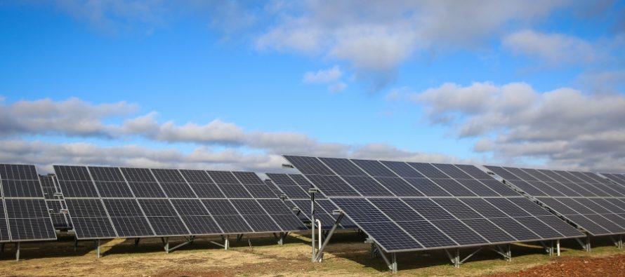 A un mes de su inauguración, el parque solar de Escobar generó energía equivalente a ocho veces de consumo del Hospital Municipal