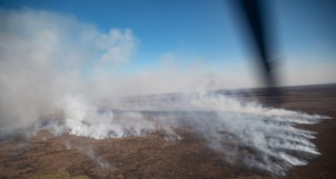 Entregaron a la Justicia los datos sobre los dueños de los predios incendiados