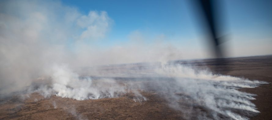 Entregaron a la Justicia los datos sobre los dueños de los predios incendiados