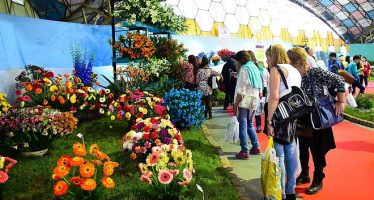 Este domingo ReCreo transmitirá en vivo desde la Fiesta Nacional de la Flor