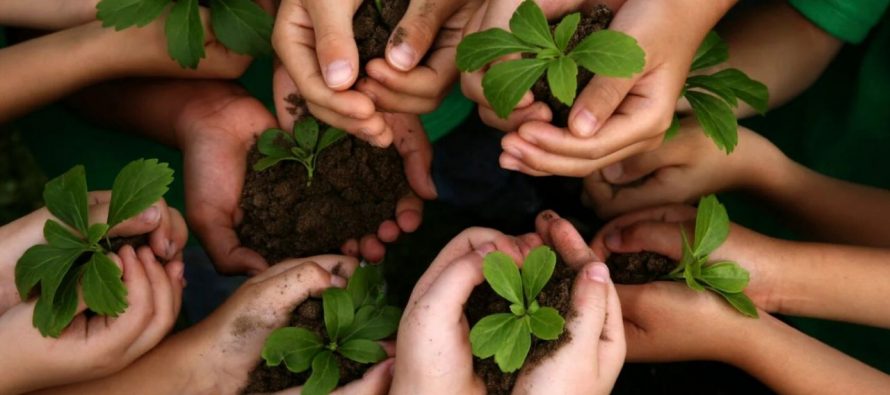 Día de la Conciencia Ambiental: ¿qué se conmemora?