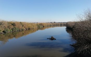 Capacitación en Educación Ambiental: virtual y con puntaje docente