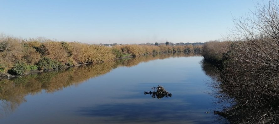 Capacitación en Educación Ambiental: virtual y con puntaje docente