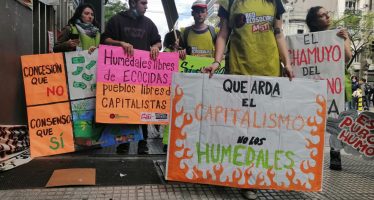 Día de los Humedales: ¿en qué estado se encuentra el proyecto de ley que busca protegerlos?