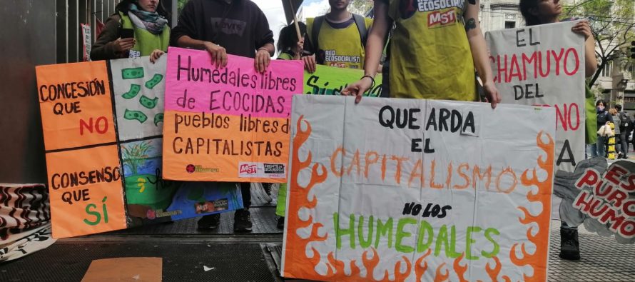 Día de los Humedales: ¿en qué estado se encuentra el proyecto de ley que busca protegerlos?