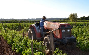 Día de la Agricultura: ¿es compatible su desarrollo con el ambiente?