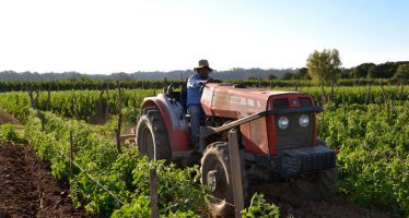 Día de la Agricultura: ¿es compatible su desarrollo con el ambiente?