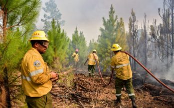 Incendios forestales en la Provincia: cuál es la situación