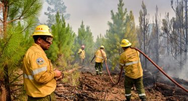 Incendios forestales en la Provincia: cuál es la situación