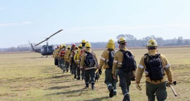 Prorrogan por un año la emergencia ígnea en todo el país ante riesgo de incendios forestales