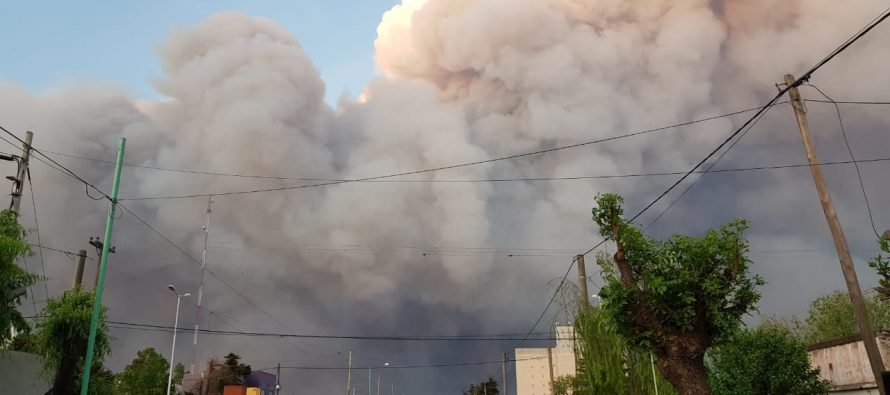 Los ministerios de Ambiente, Salud y Seguridad bonaerense trabajan en los territorios afectados por el humo