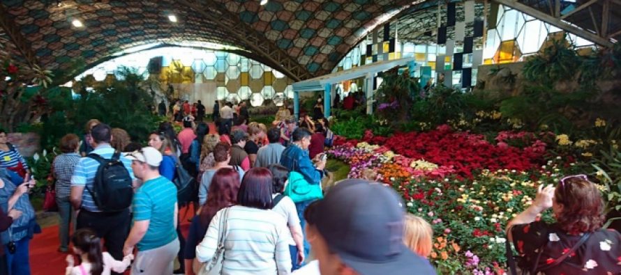 ¿Cómo fue la Fiesta Nacional de la Flor?