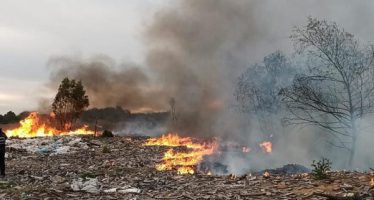 Escobar solicitó a la Justicia la detención de los responsables del daño ambiental en Maschwitz