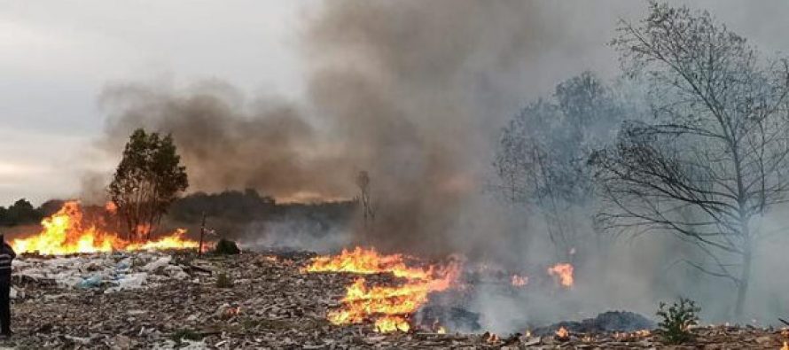 Escobar solicitó a la Justicia la detención de los responsables del daño ambiental en Maschwitz