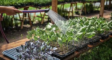 El influencer Felipe Castro realizará un curso de huerta agroecológica en Ingeniero Maschwitz