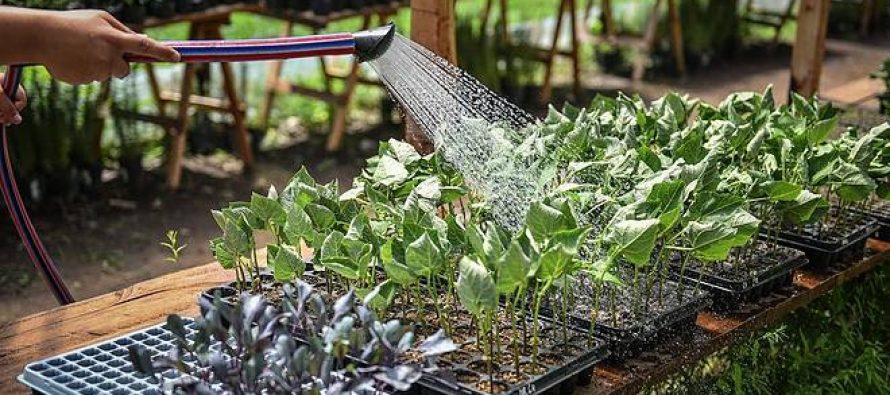 El influencer Felipe Castro realizará un curso de huerta agroecológica en Ingeniero Maschwitz