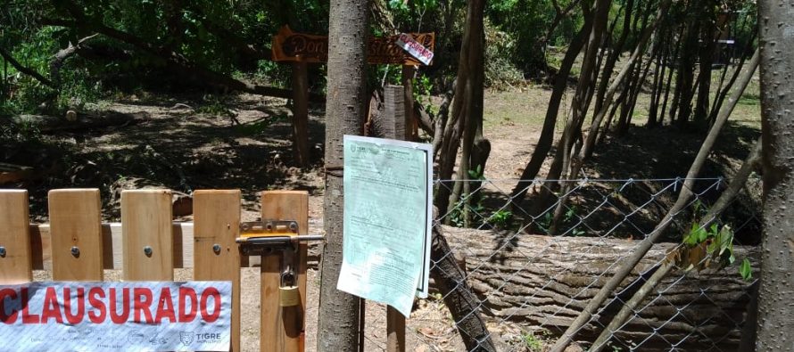 Desmontes ilegales en el Delta de Tigre