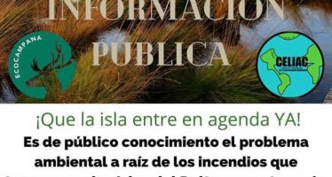 Tras los incendios, organizaciones ambientales de Campana realizan un pedido de información pública