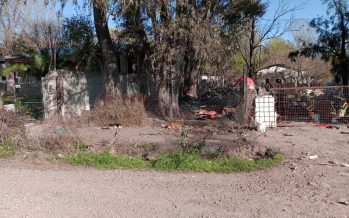 Protección de animales: cincuenta perros fueron rescatados en Escobar