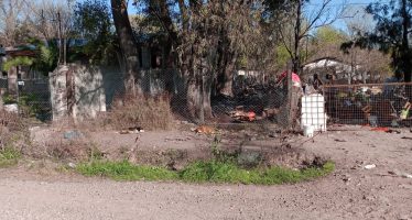 Protección de animales: cincuenta perros fueron rescatados en Escobar