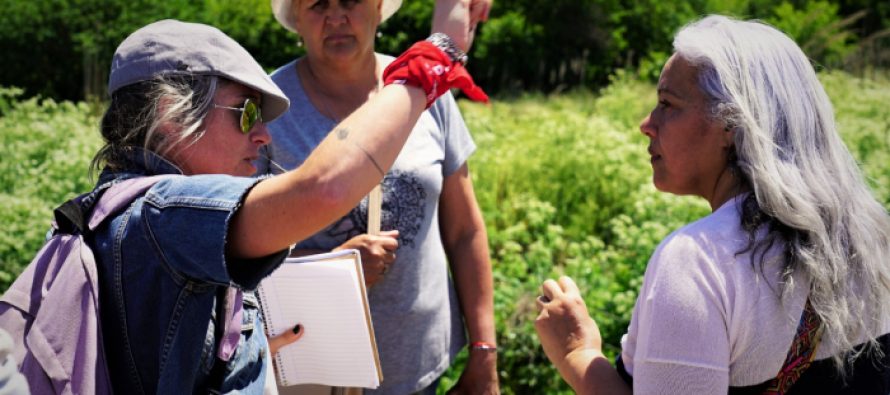 Cuenca del Río Luján: jornada de trabajo en José C Paz