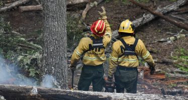 Ambiente lanza una diplomatura en manejo del fuego y cambio climático