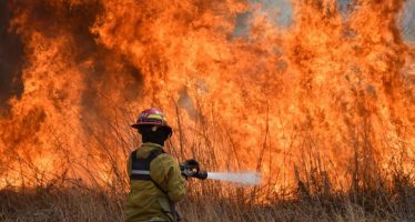 El Gobierno oficializó la creación de una Unidad de Análisis y Prevención de Delitos Ambientales