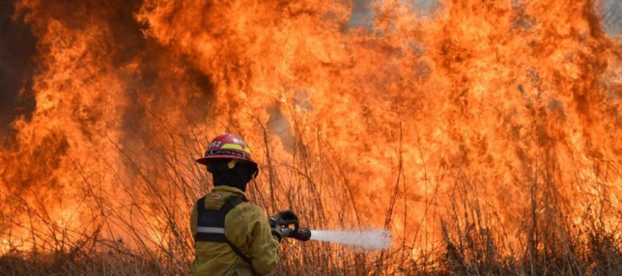 El Gobierno oficializó la creación de una Unidad de Análisis y Prevención de Delitos Ambientales